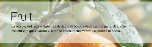 Le fragranze fruttate della serie classic di candele Yankee Candle sono in vendita da NewOld, Roma